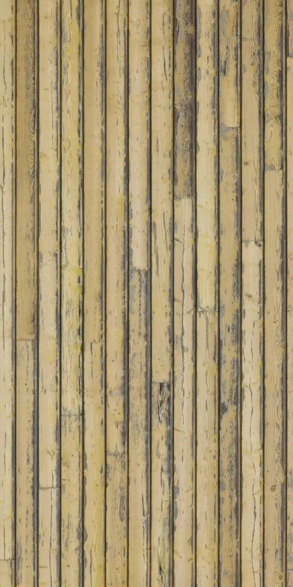 Woodstock 10X20 Ultracloth ( 120 X 240 Inch ) Backdrop