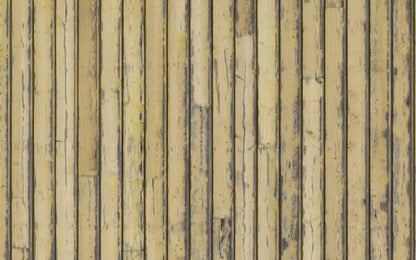 Woodstock 14X9 Ultracloth ( 168 X 108 Inch ) Backdrop