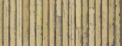Woodstock 20X8 Ultracloth ( 240 X 96 Inch ) Backdrop