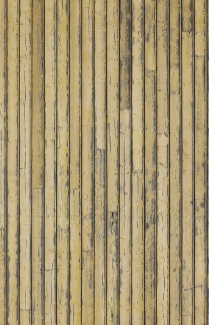 Woodstock 8X12 Ultracloth ( 96 X 144 Inch ) Backdrop
