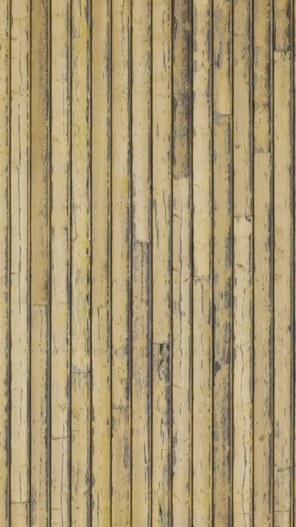 Woodstock 8X14 Ultracloth ( 96 X 168 Inch ) Backdrop