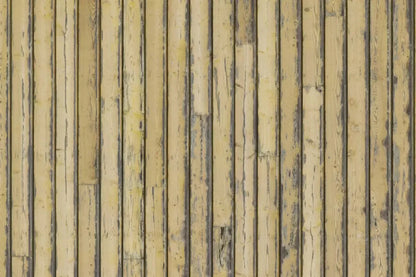 Woodstock 8X5 Ultracloth ( 96 X 60 Inch ) Backdrop