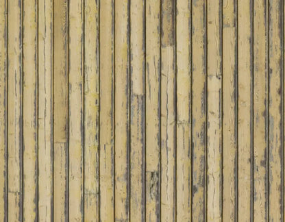 Woodstock 8X6 Fleece ( 96 X 72 Inch ) Backdrop