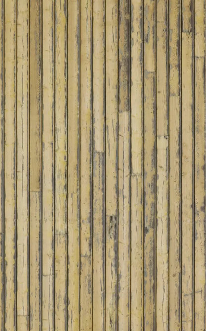 Woodstock 9X14 Ultracloth ( 108 X 168 Inch ) Backdrop