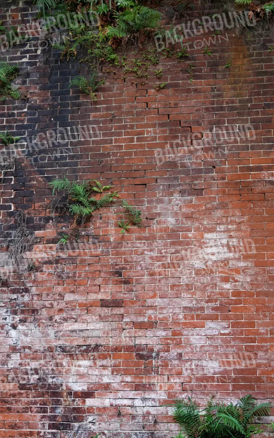 Bricked Up 9X14 Ultracloth ( 108 X 168 Inch ) Backdrop