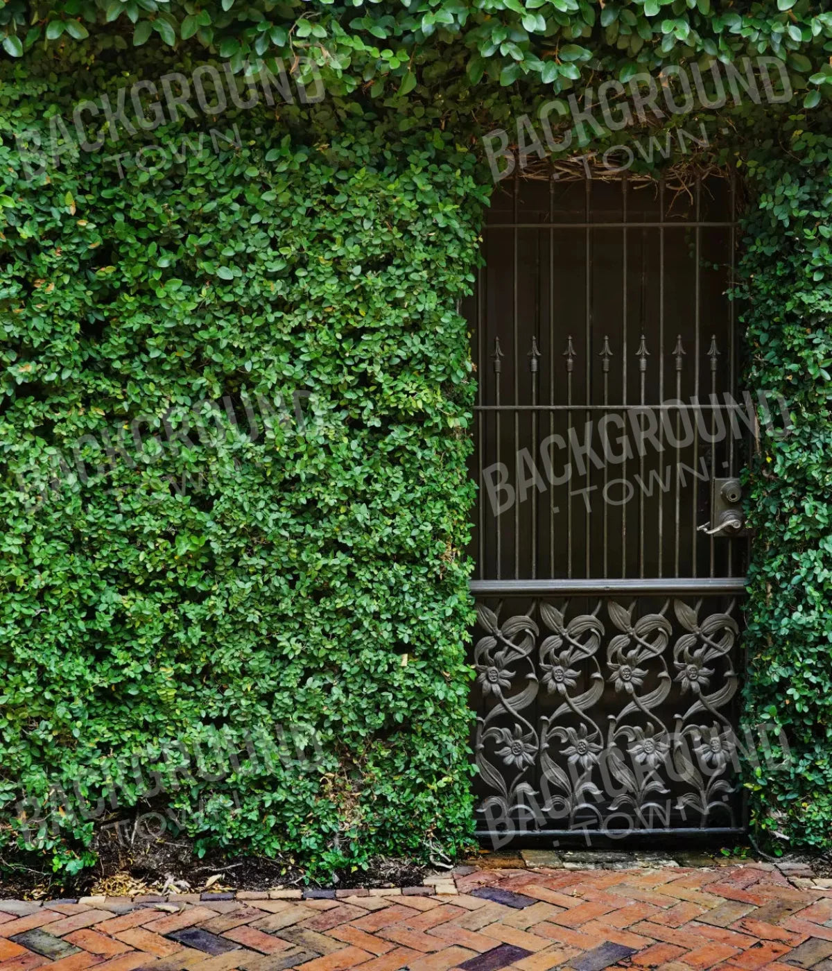 Wrought Iron Door 10X12 Ultracloth ( 120 X 144 Inch ) Backdrop
