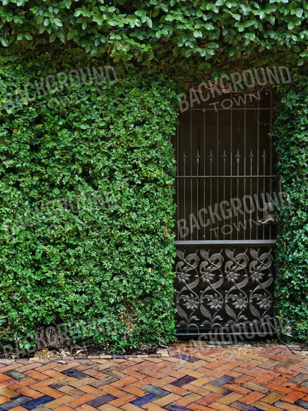 Wrought Iron Door 5X68 Fleece ( 60 X 80 Inch ) Backdrop