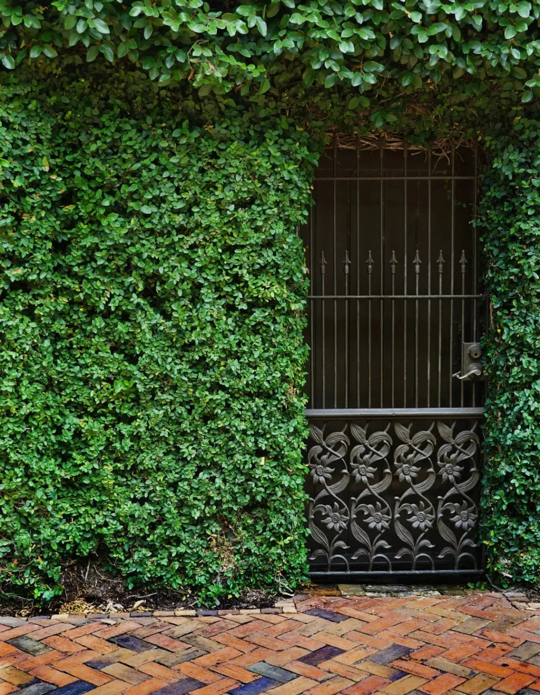 Wrought Iron Door 6X8 Fleece ( 72 X 96 Inch ) Backdrop