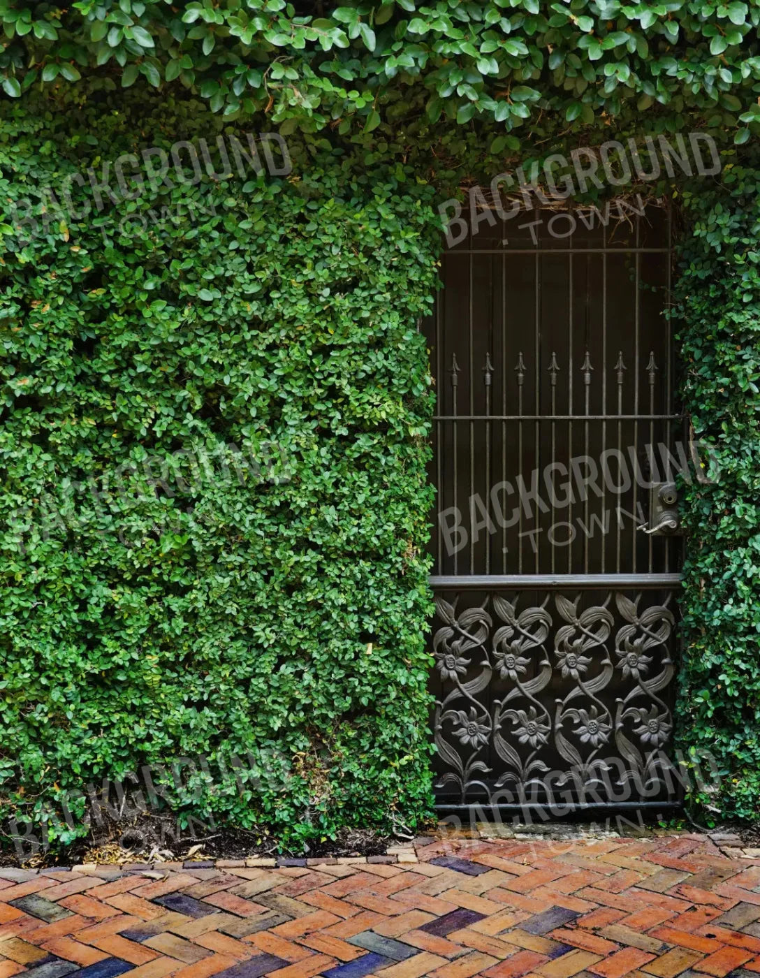 Wrought Iron Door 6X8 Fleece ( 72 X 96 Inch ) Backdrop