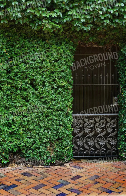 Wrought Iron Door 8X12 Ultracloth ( 96 X 144 Inch ) Backdrop