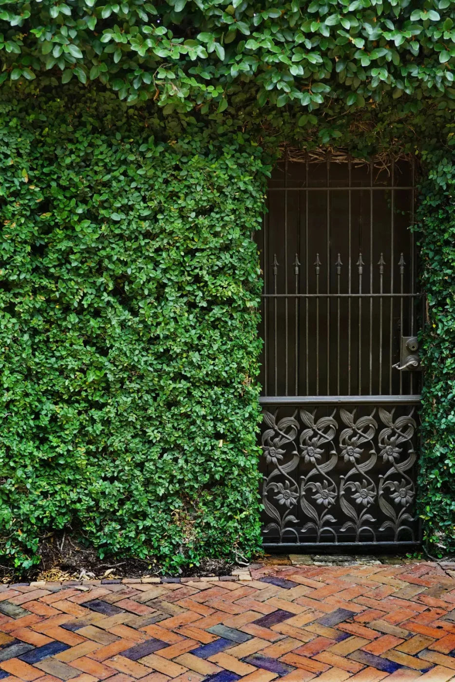 Wrought Iron Door Backdrop