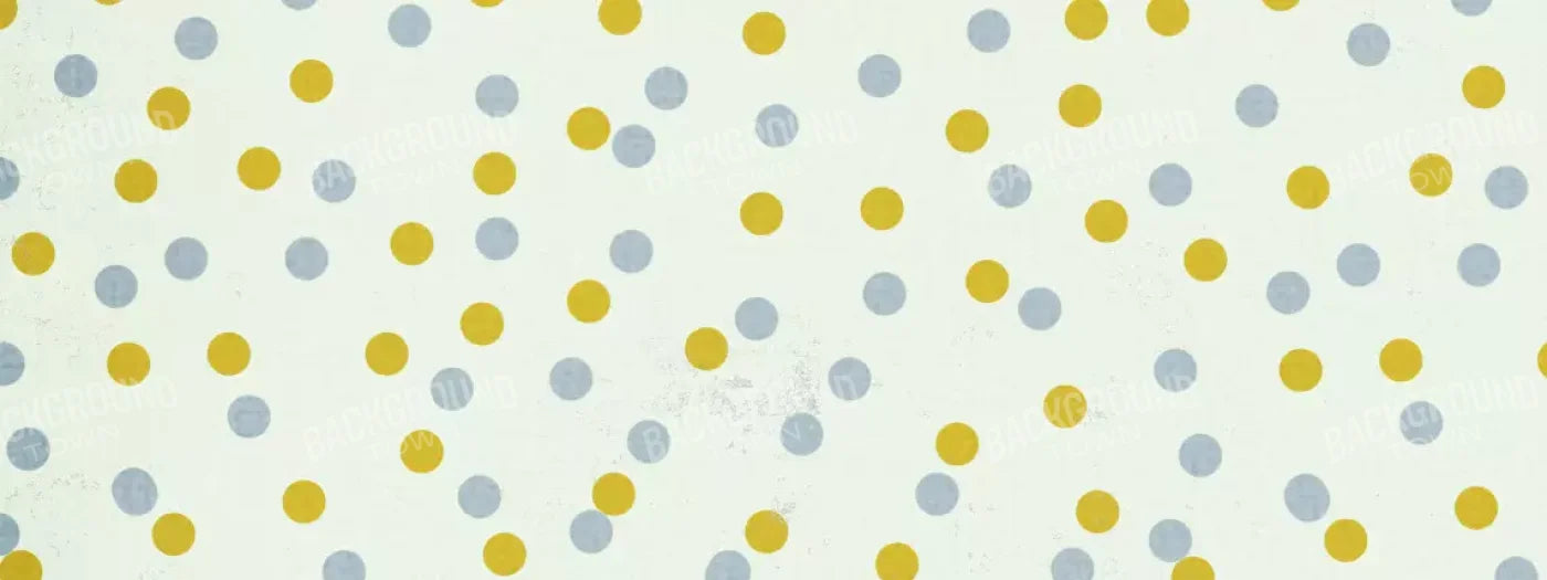 Xavier 20X8 Ultracloth ( 240 X 96 Inch ) Backdrop