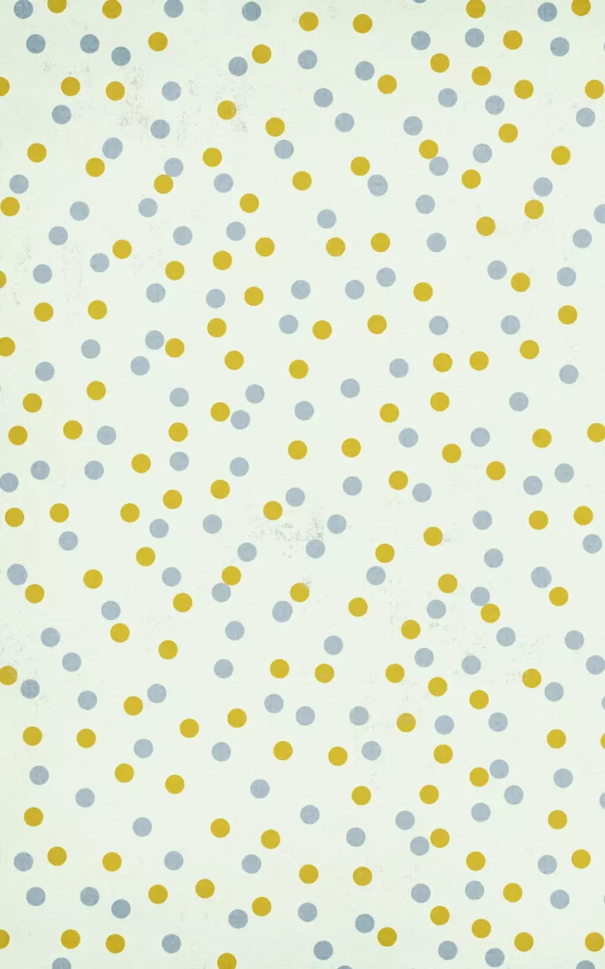 Xavier 9X14 Ultracloth ( 108 X 168 Inch ) Backdrop