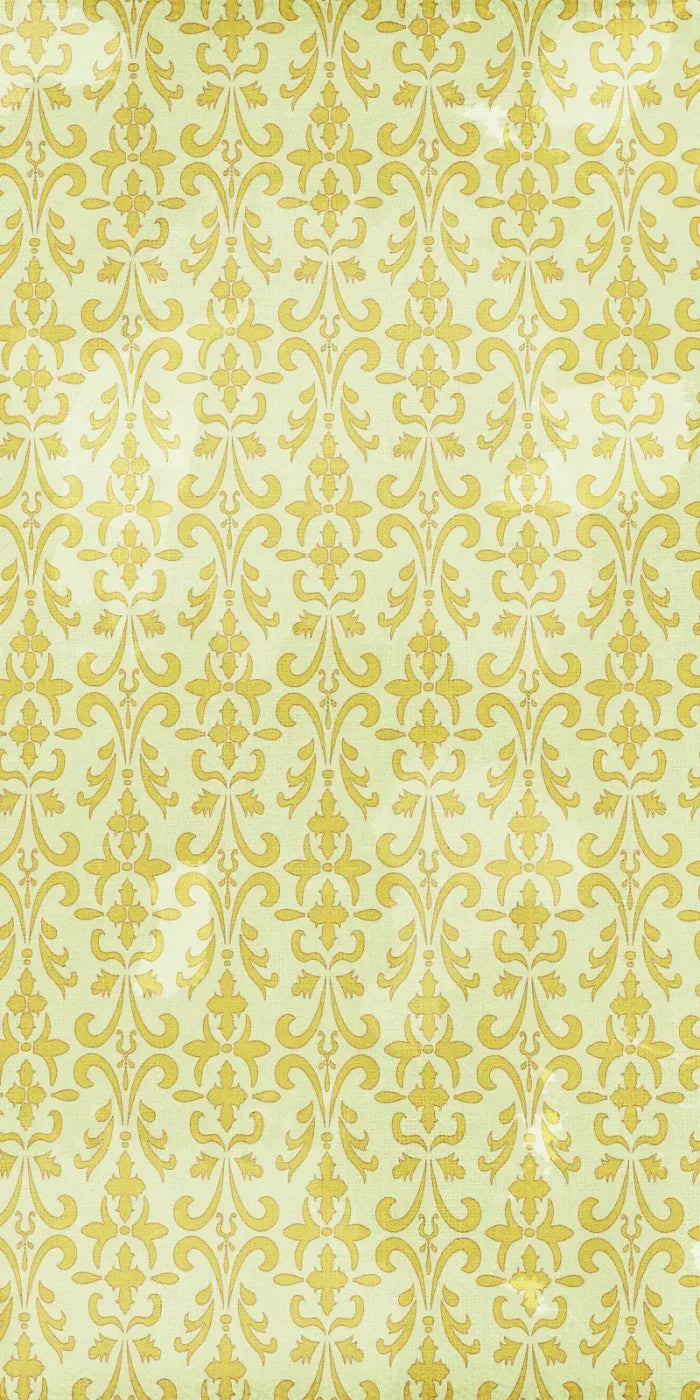 Yaffa 10X20 Ultracloth ( 120 X 240 Inch ) Backdrop