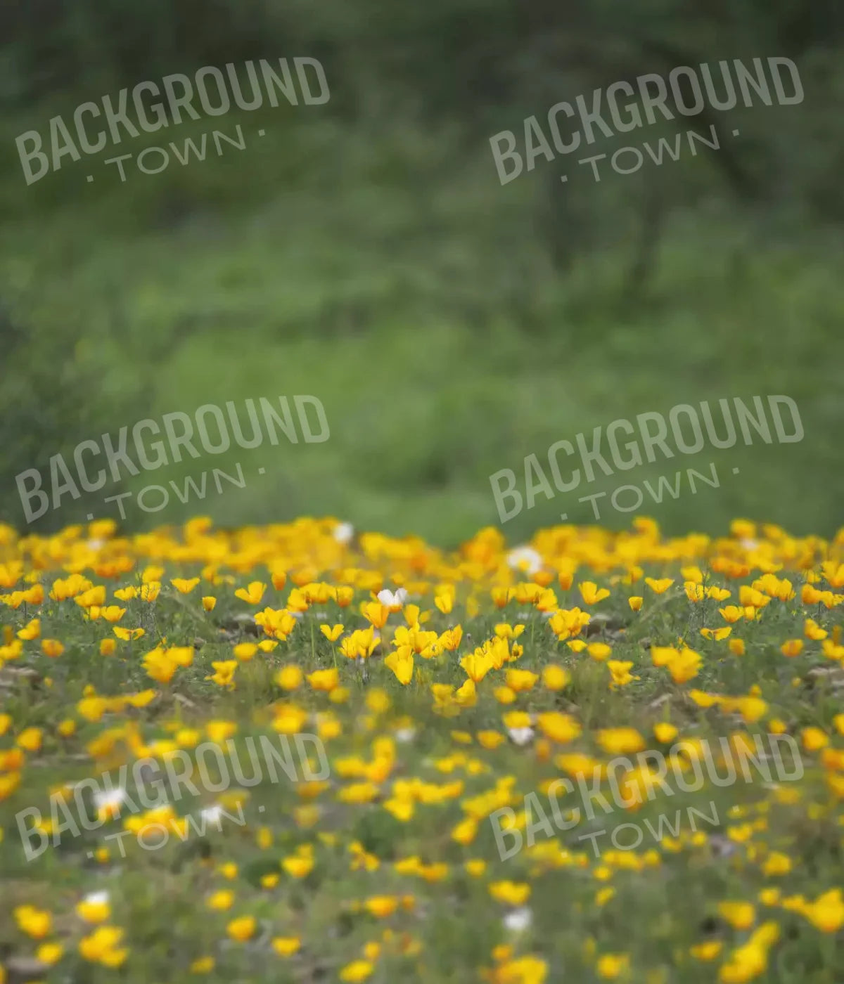 Yellow Poppies 10X12 Ultracloth ( 120 X 144 Inch ) Backdrop