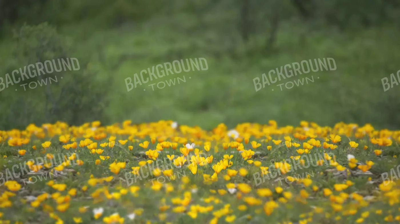 Yellow Poppies 14X8 Ultracloth ( 168 X 96 Inch ) Backdrop