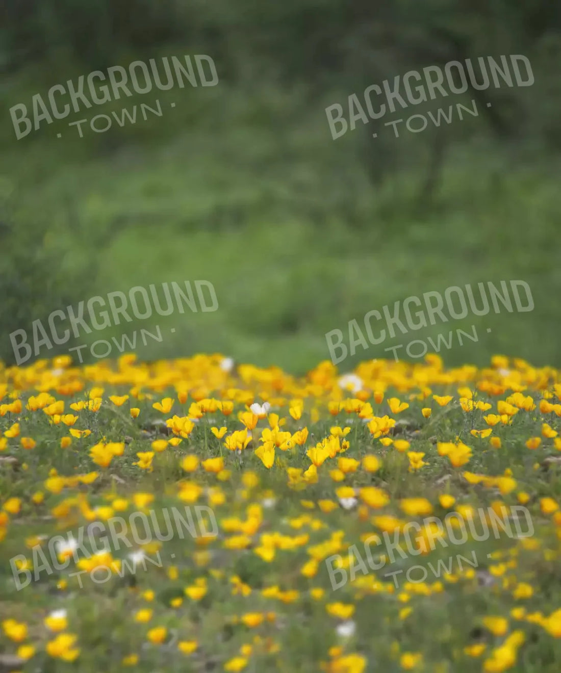 Yellow Summer Backdrop for Photography