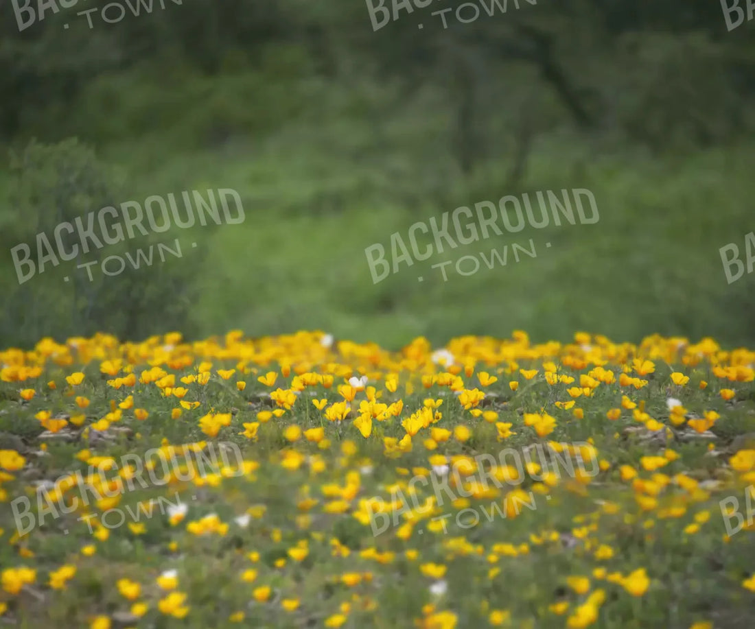 Yellow Poppies 5X42 Fleece ( 60 X 50 Inch ) Backdrop