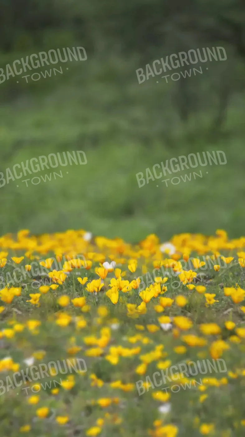 Yellow Poppies 8X14 Ultracloth ( 96 X 168 Inch ) Backdrop
