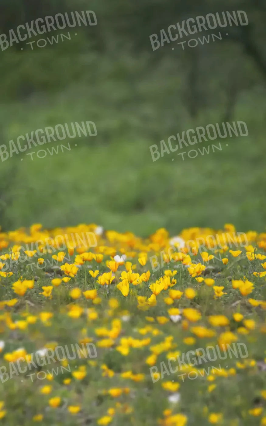 Yellow Poppies 9X14 Ultracloth ( 108 X 168 Inch ) Backdrop