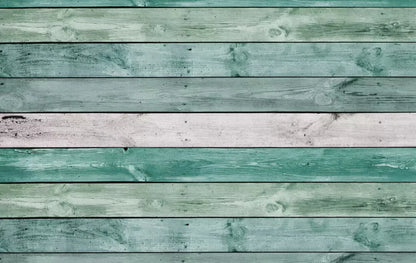 Zac 16X10 Ultracloth ( 192 X 120 Inch ) Backdrop