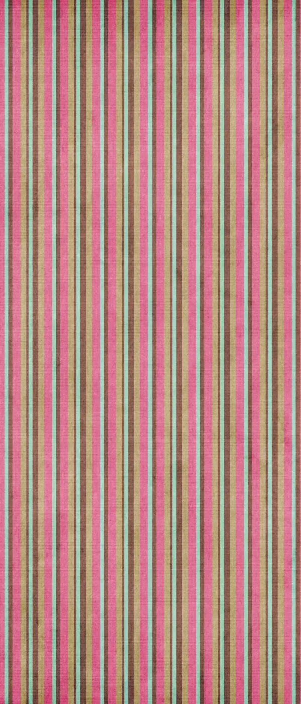 Zelma 5X12 Ultracloth For Westcott X-Drop ( 60 X 144 Inch ) Backdrop