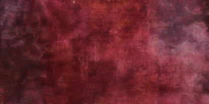 Zesty 20X10 Ultracloth ( 240 X 120 Inch ) Backdrop