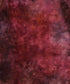 Red Textured Backdrop for Photography